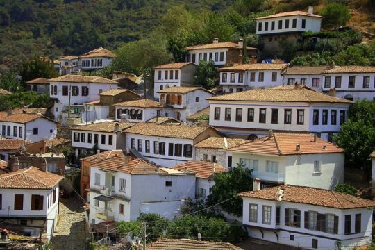 Kusadasi Port Private Ephesus Tour with Sirince Village (5-7 Hours)