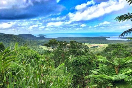 Private Cape Tribulation & Mossman Gorge Day Tour