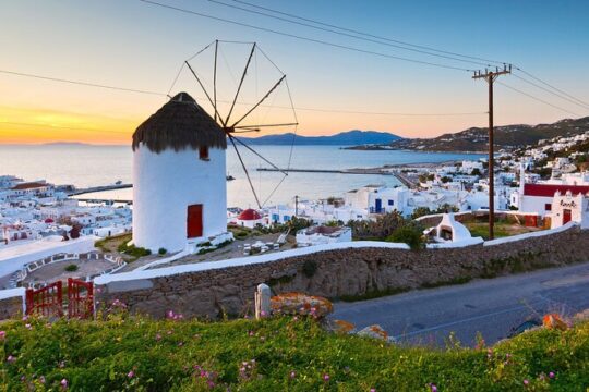 Mykonos Shore Excursion: Elia Beach & Town Exploration