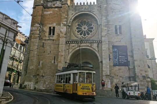 Private Tour to Bordalo Pinheiro, Óbidos, Vista Alegre and Aveiro