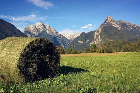 Kranjska gora & Soča valley tour - from Ljubljana