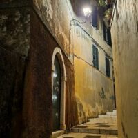 Night Tours