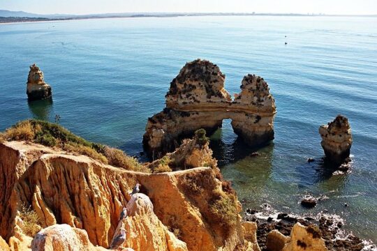 Sailing cave tour Ponta da Piedade Lagos