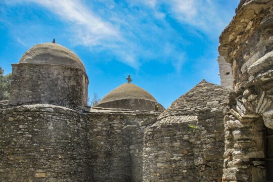 Essence of Naxos Tour