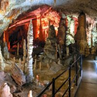 Day Trips & Excursions