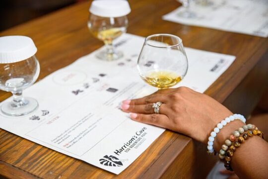 Nature Trail, Tram & Rum Tasting at Harrison's Cave by Chukka