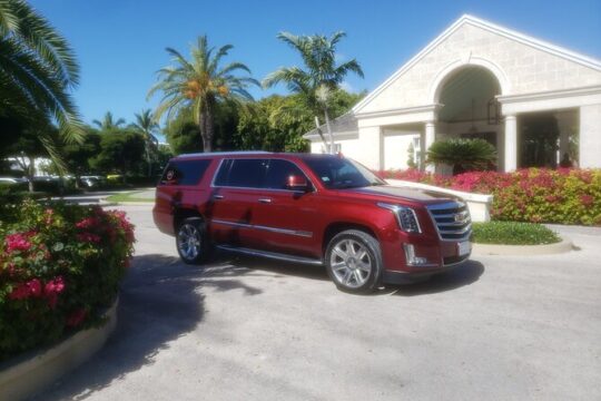 Private Transportation Services (Luxury SUV: Arrivals)