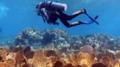 BEST (only?!?) way to truly experience the Exumas