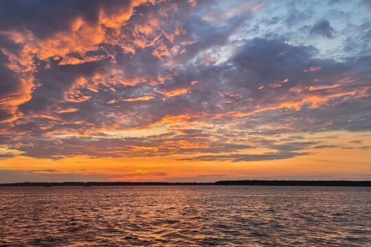 Private Dolphin Boat Tour in Hilton Head Island