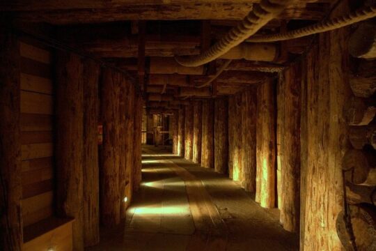 Auschwitz-Birkenau and Salt Mine Tour with private transport from Krakow