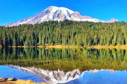 Seattle Amtrak Coast Starlight Redwood 7 day Tour from SF