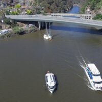 Day Cruises