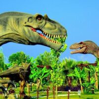 Sightseeing Tickets & Passes