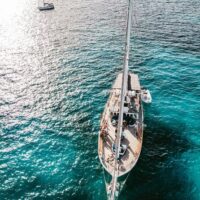 Day Cruises