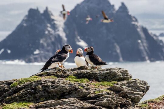 7-Day Ireland to Island Small Group Tour from Dublin