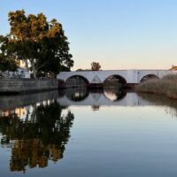 Tours & Sightseeing