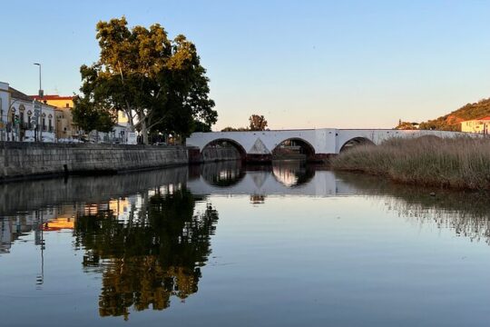 Arade River Boat Tour from Portimão to Silves Medieval Town