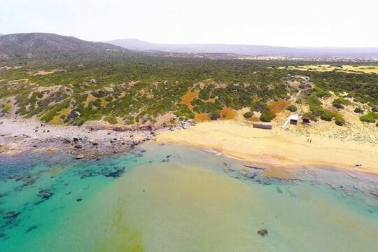 Turtle Watching and Snorkeling from Paphos