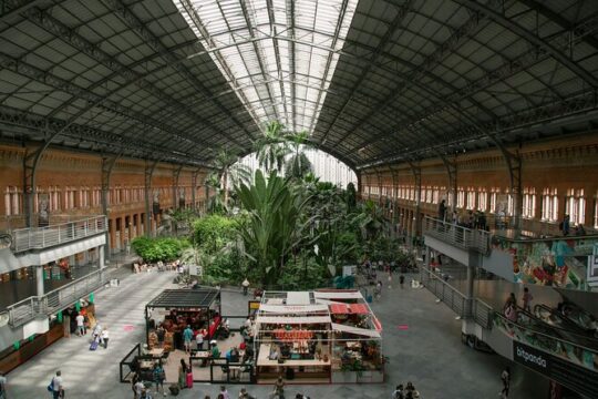 Private transportation Train station from Atocha to Madrid