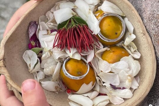 Craft Your Own wooden Bowl : in 1.5 hours from a calabash fruit!