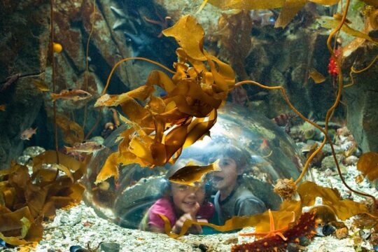 Victoria Hiking and Aquarium City Tour