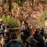 Walking & Biking Tours