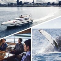 Sailing Trips