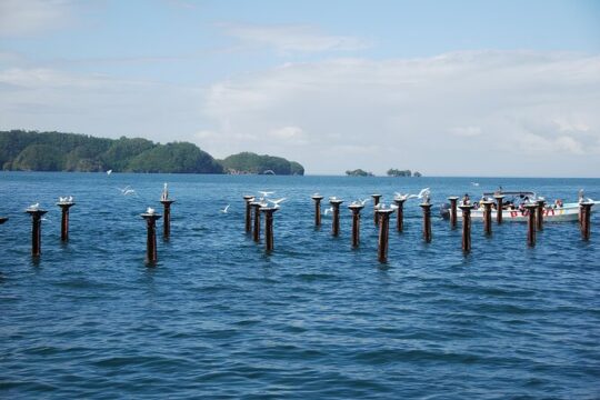 Tour of Los Haitises Montaña Redonda and Yanigua Waterfall in one day