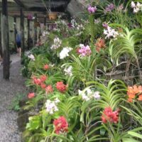 Historical & Heritage Tours