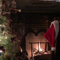 Holiday & Seasonal Tours