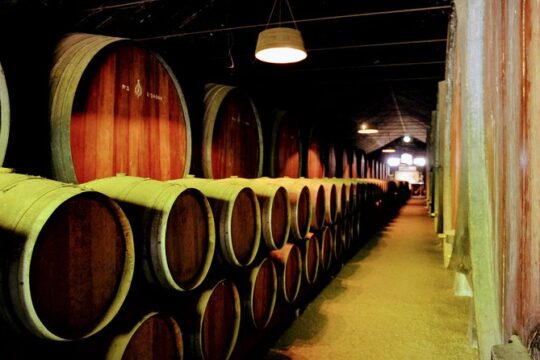 Lisbon Surf & Wine