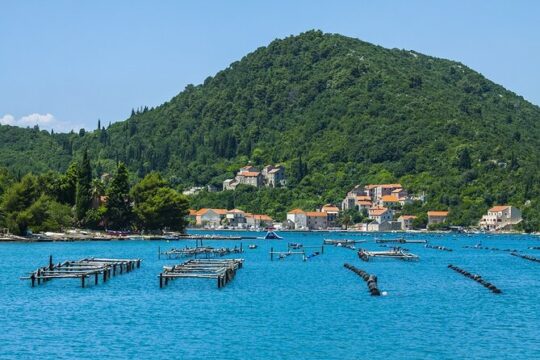 Dubrovnik: Ston wine and oyster tasting