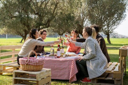 2-Hour Picnic among the Olive Trees with Typical Abruzzese Products