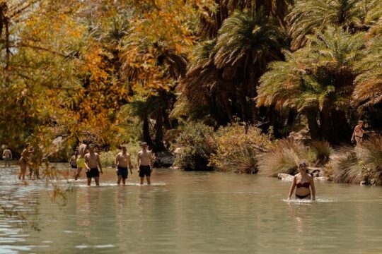 Private Hiking Tour in Platania Gorge