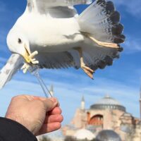 Private & Custom Tours