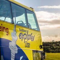 Hop-on Hop-off Tours