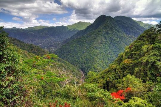 UTV and Can-Am Sightseeing Tours in Puerto Rico