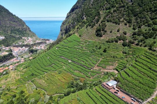 Wine Flavours & tasting, Skywalk and 4x4 Jeep Adventures
