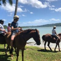 Horseback Riding