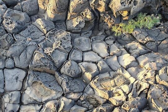Guided Geological Excursion to Ustica