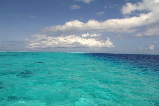 Small group snorkeling (5 people max): wrecks & tropical fishes at 1:00pm