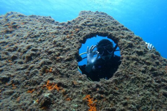Baptism of scuba diving in a shipwreck on Terceira island