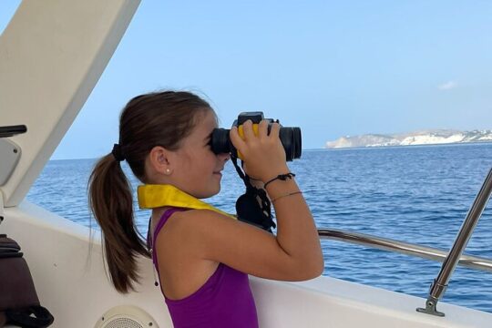 4 Hours Dolphin Watching Tour in Porto Empedocle