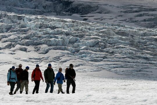 Full Day Guided Glacier Hike on The Athabasca with IceWalks
