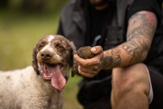 Truffle Hunting at Meteora
