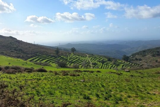 Private Monchique Tour (Half day)