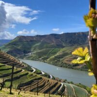 Tours & Sightseeing