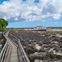 Walking Tours