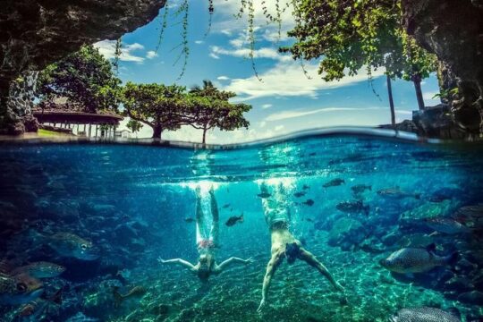 The Pristine Waters of Upolu