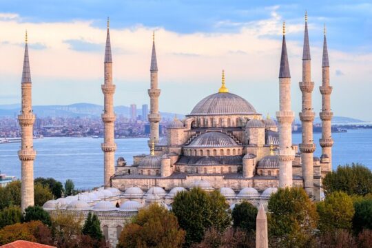 Istanbul Highlight Shore Excursion: City of Treasures Tour